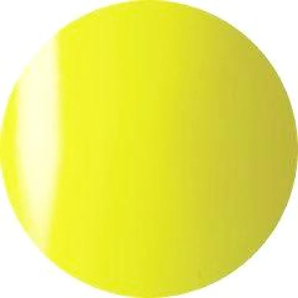 VETRO Black Line Bundle Set - Neons