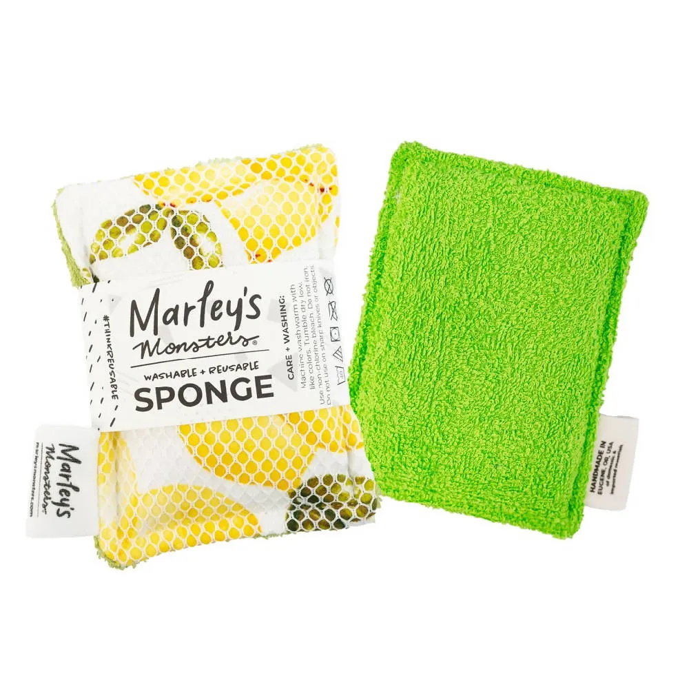 Washable Sponge - 3 pack