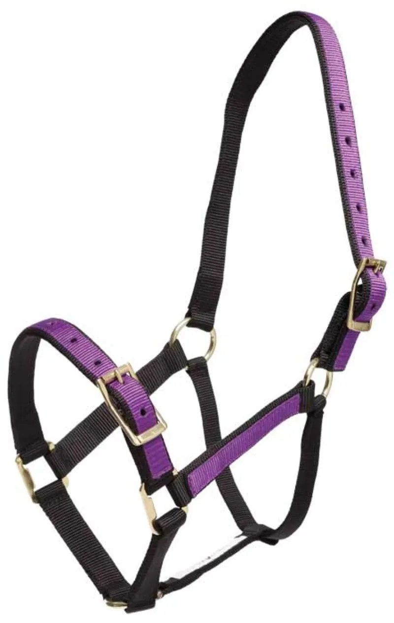 Zilco Halter Overlay